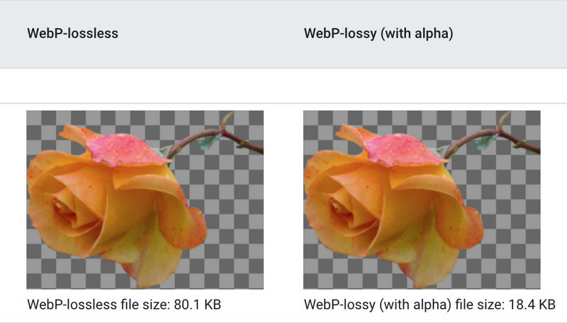 WebP Compressions