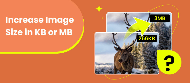 Increase Image Size in KB MB
