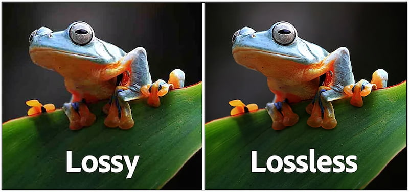 Lossy Vs Lossless Compression