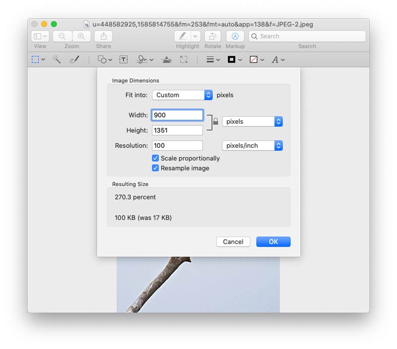 Macos Check Scale Proportionally