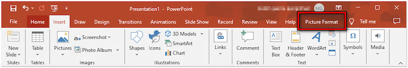 Navigate to Picture Format