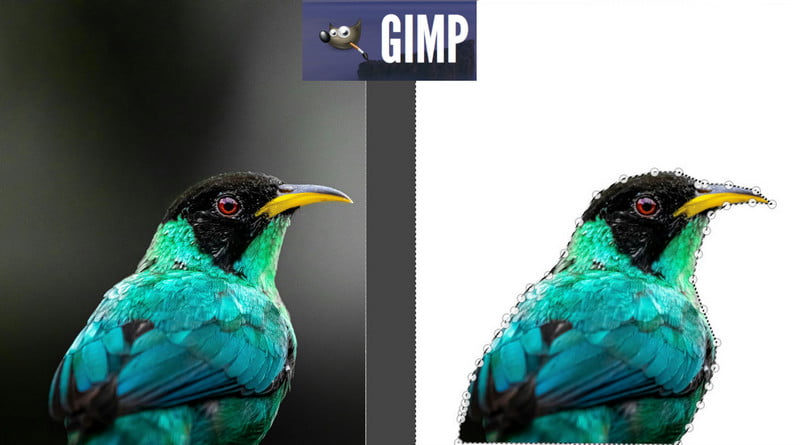 Gimp Transparent Background Remover