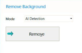 Remove Button in Softorbits Background Remover