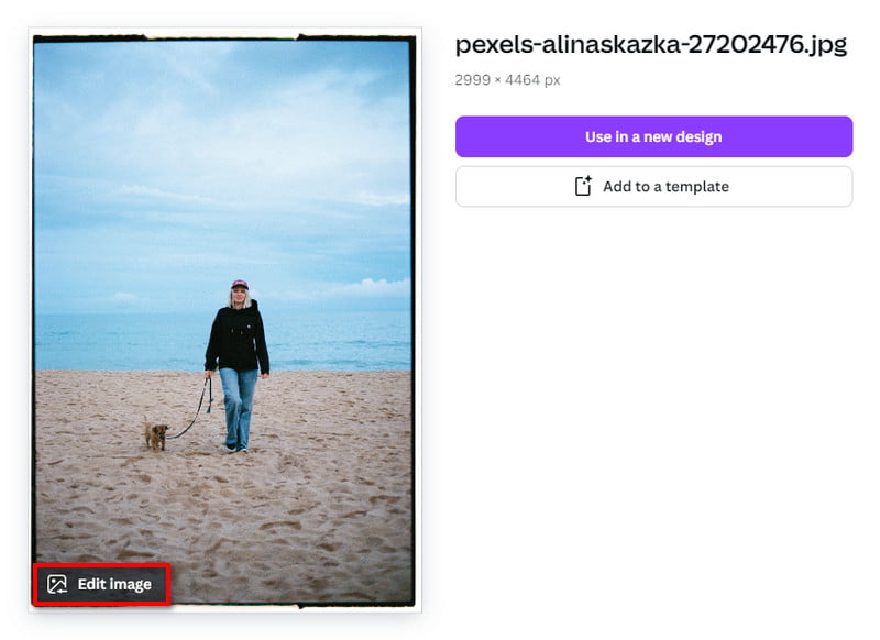 Select Edit Image in Canva