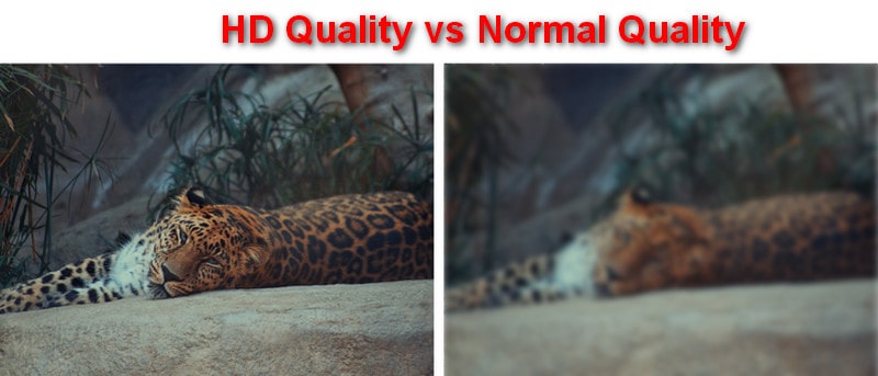 HD Quality Image And Normal Image