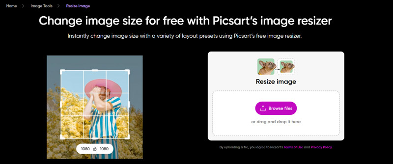 Picsart Resize Image Online